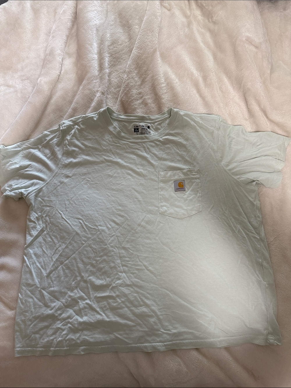 Carhartt Men's Pocket Tee in Pale Mint
